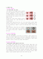 [사업계획서] 숨쉬는 써클렌즈 사업계획서 6페이지