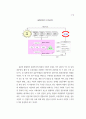 한국사회의 사회 갈등문제 분석 6페이지