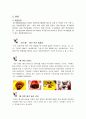 [사업계획서] 애견 멀티 센터 (주) 동물사랑나눔 사업계획서 3페이지