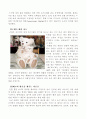 `키덜트 마케팅` 에 대한 모든것 철저한 분석 4페이지
