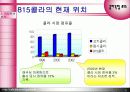 콜라독립815 마케팅전략 5페이지