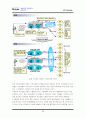 NTT DoMoCo보고서 33페이지