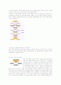웹사이트 기획 총정리 3페이지