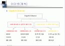 LAN의 개요와 네트웍에 대한 설명 49페이지