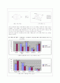 여대생들의 집합적 소비행태에 대한 실질적 분석 8페이지
