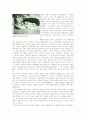 [인문과학] 스위스에 대해 3페이지