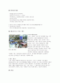 [인문과학] 스위스에 대해 11페이지