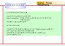 경영혁신 Business Process Reengineering 4페이지
