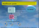 Main flame/Client-server 28페이지
