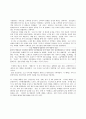 삼성 LCD 중국시장진출 마케팅분석 16페이지