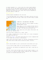 태풍(우리나라는 일본보다 그 피해가 크게 나타나는 원인) 2페이지