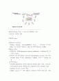 유전자 공학 6페이지