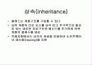 자료구조 배우기전 기초 자바 1 13페이지