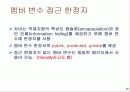 자료구조 배우기전 기초 자바 3 25페이지