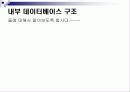 오라클 구조에 대한 8페이지