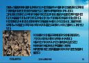 그리스 신화의 신들의 전쟁 10페이지