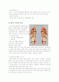 직장인의 발 건강 관리 3페이지