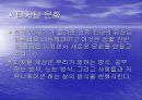 디지털 문화 3페이지
