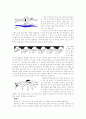 생활속의 레저 스포츠 2페이지