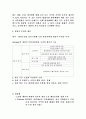 환경정책-경제적 환경정책 수단 4페이지