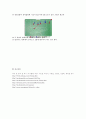 축구에 대하여 15페이지
