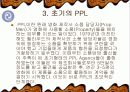PPL마케팅 5페이지