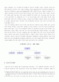 삼성전자 조직분석학적 접근 13페이지