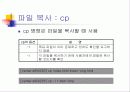 네트워크 명령어 10페이지