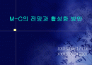 모바일 전자상거래의 전망과 활성화 방안 1페이지