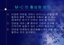 모바일 전자상거래의 전망과 활성화 방안 14페이지
