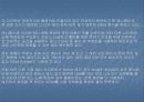 모노 노케 히메 Analysys 4페이지
