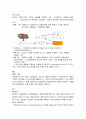 경영정보 시스템과 발달과정 과 관련용어 개념정리 6페이지