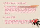여가 프로그램 10페이지