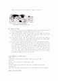 세계도시 인구증가가 초래하는 문제점과 해결방안 5페이지