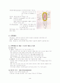 세포 구조 2페이지