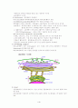 세포 구조 4페이지