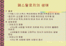 페스탈로치에 대해서 2페이지