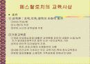페스탈로치에 대해서 5페이지