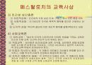 페스탈로치에 대해서 6페이지