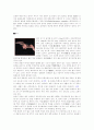 생물학 -박쥐(형태,진화) 2페이지