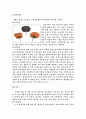 전통문화-부채의 어원,고향,재료,종류,문양,용도(다양한그림자료) 2페이지