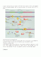 colony overexpression 2페이지