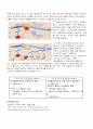 colony overexpression 4페이지