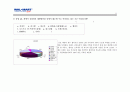 마케팅 -  사례연구 25페이지
