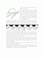 한국과 서양 수영의 역사 비교 및 의의와 특성 16페이지