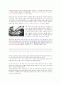 히틀러의 일생 과 그가 독일의 퓌러가 되기 까지.... 13페이지
