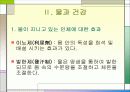 물과 건강 5페이지