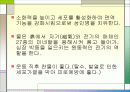 물과 건강 11페이지