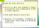물과 건강 12페이지