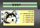 BPR&ERP의 비교와 사례조사 1페이지